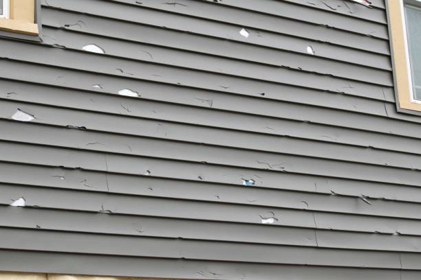 Best Property Management Cleanouts  in Westwood, PA