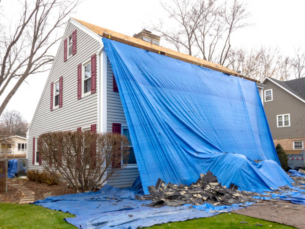 Best Hoarding Cleanup  in Westwood, PA